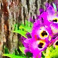 Orchids